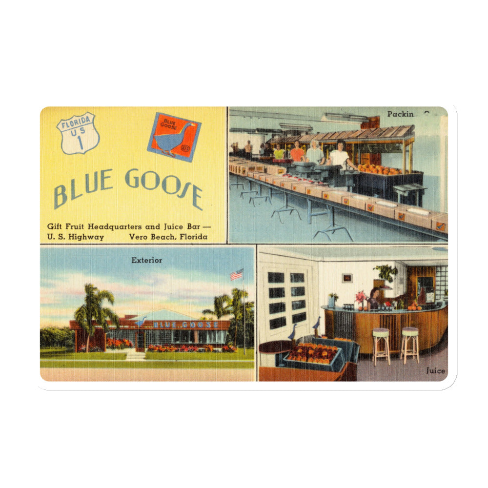 Archive Magnet, Blue Goose, Vero Beach