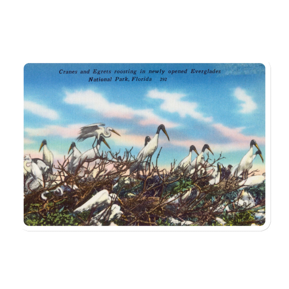 Archive Magnet, Cranes and Egrets, Everglades