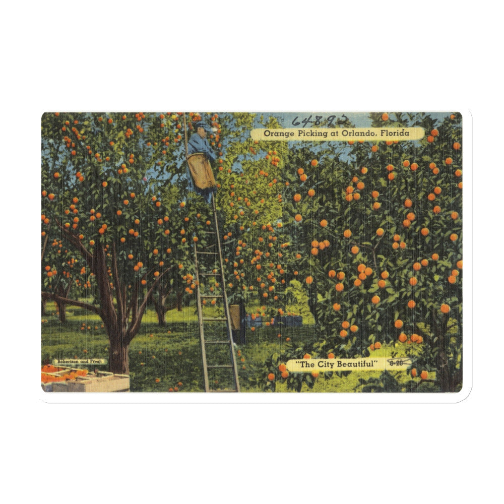 Archive Magnet, Orange Picking at Orlando