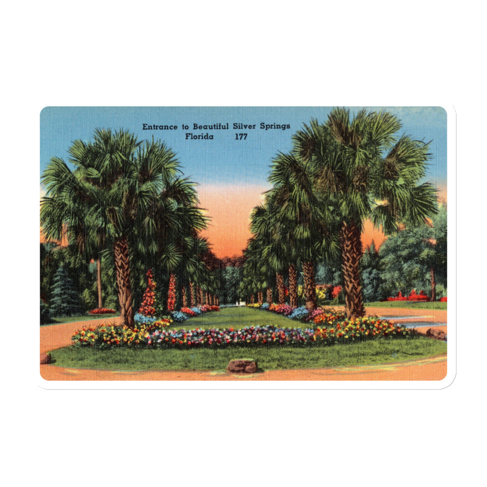 Archive Magnet, Entrance to Silver Springs