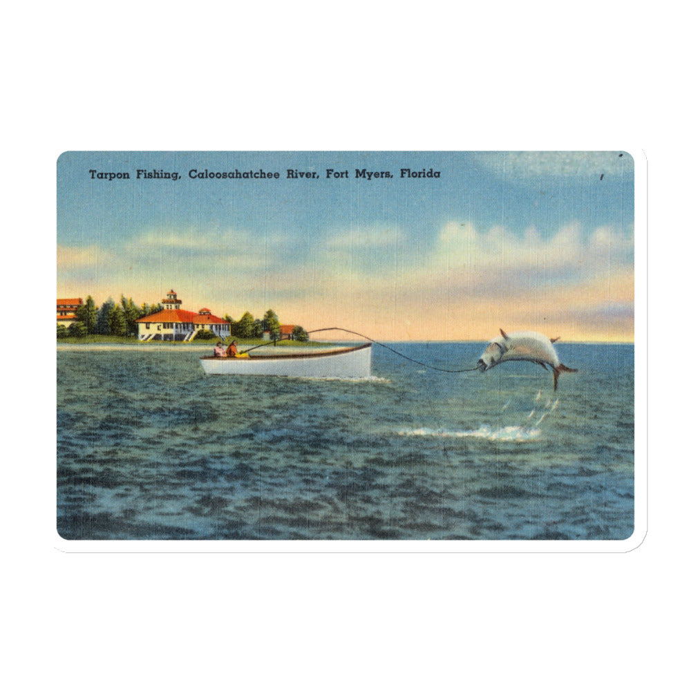 Archive Magnet, Tarpon Fishing, Caloosahatchee River