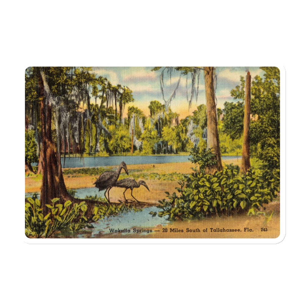 Archive Magnet, Wakulla Springs