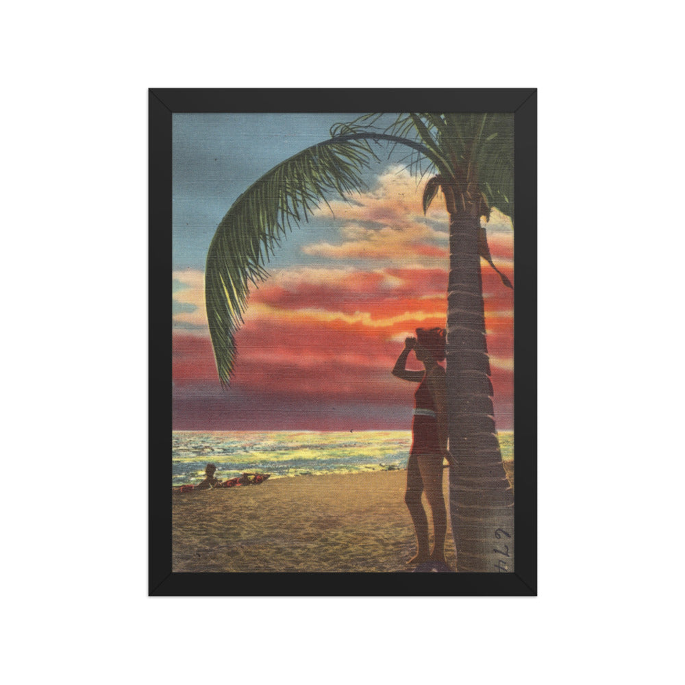 Lady Palm Sunset, 12 x 16, Black