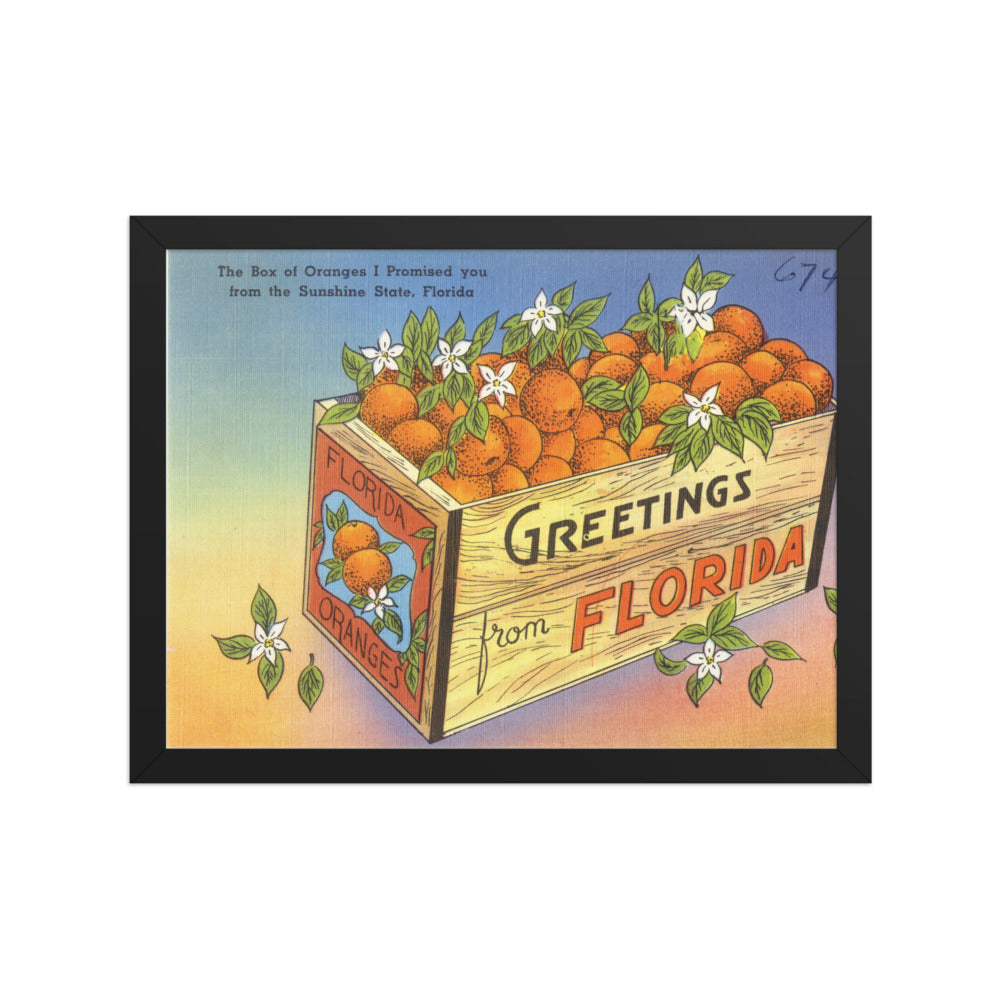 The Box of Oranges I Promised You, Black