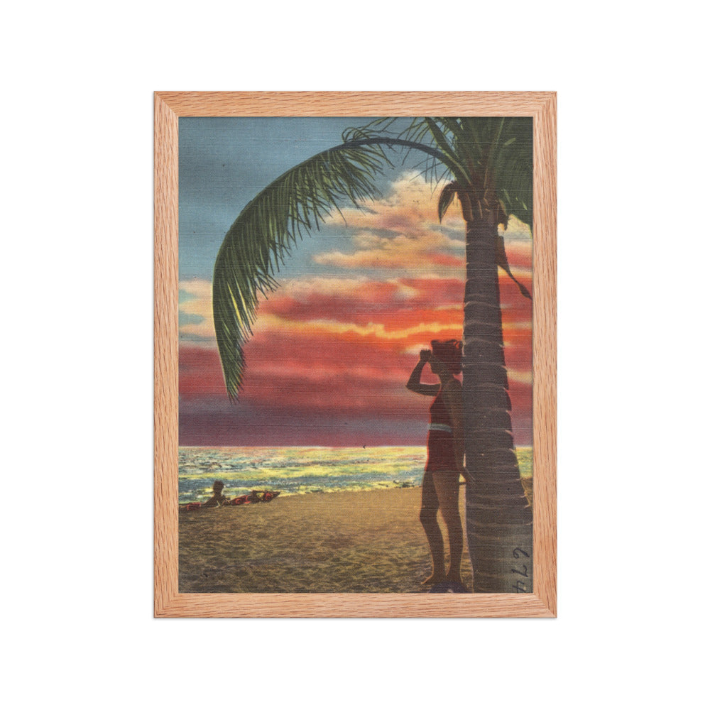 Lady Palm Sunset, 12 x 16, Red Oak
