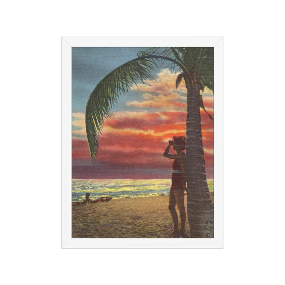 Lady Palm Sunset, 12 x 16, White