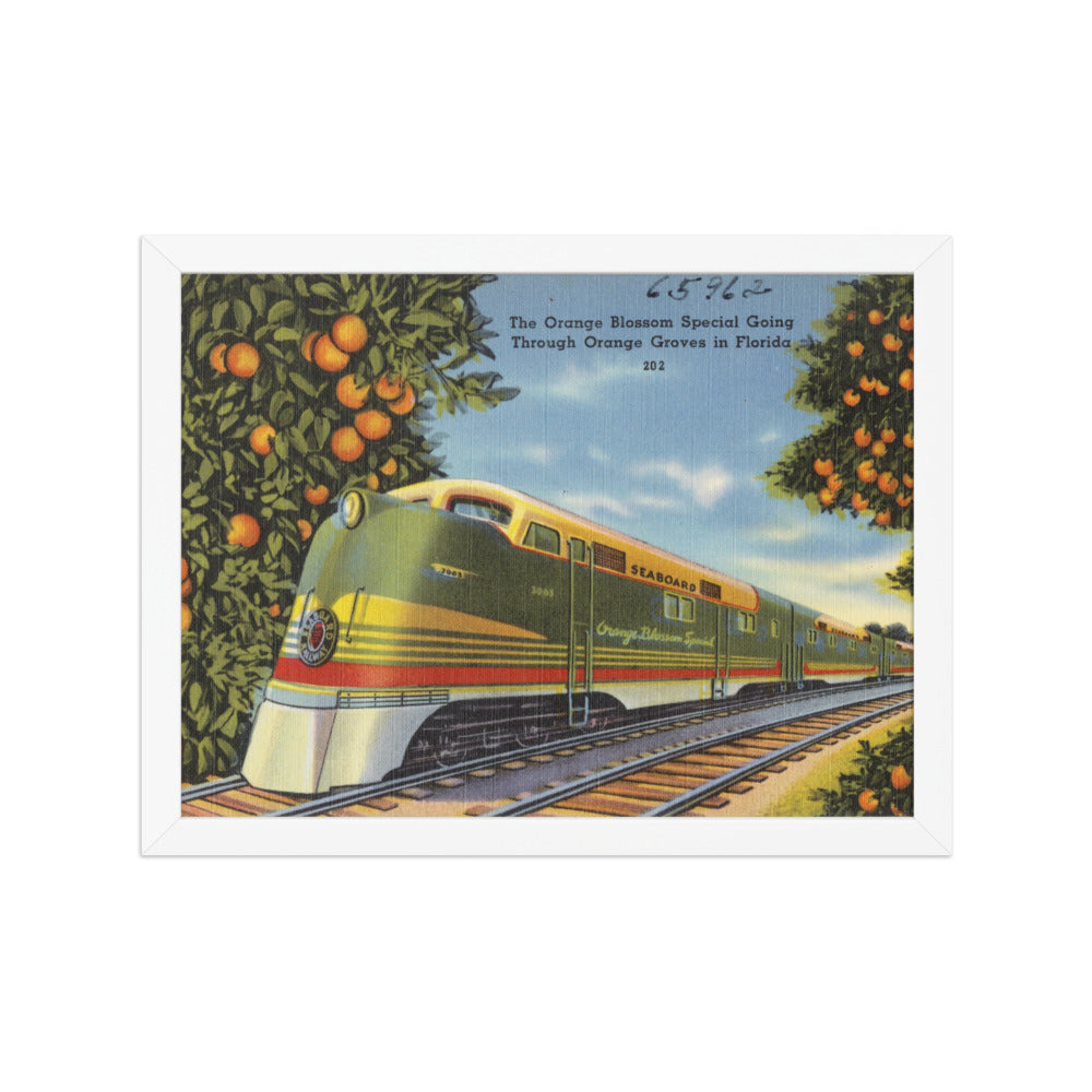 The Orange Blossom Special, White