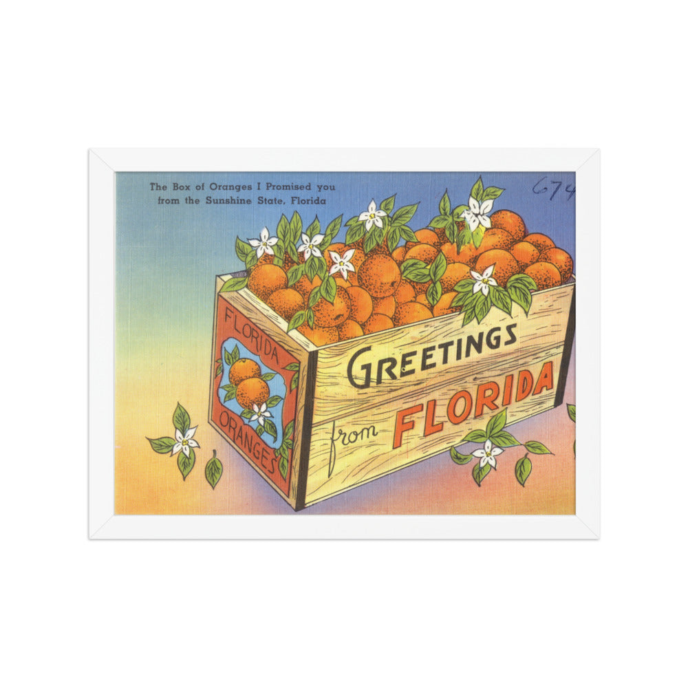 The Box of Oranges I Promised You, White