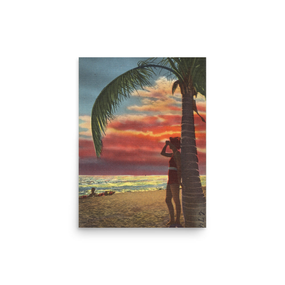 Lady Palm Sunset, 12 x 16, Unframed
