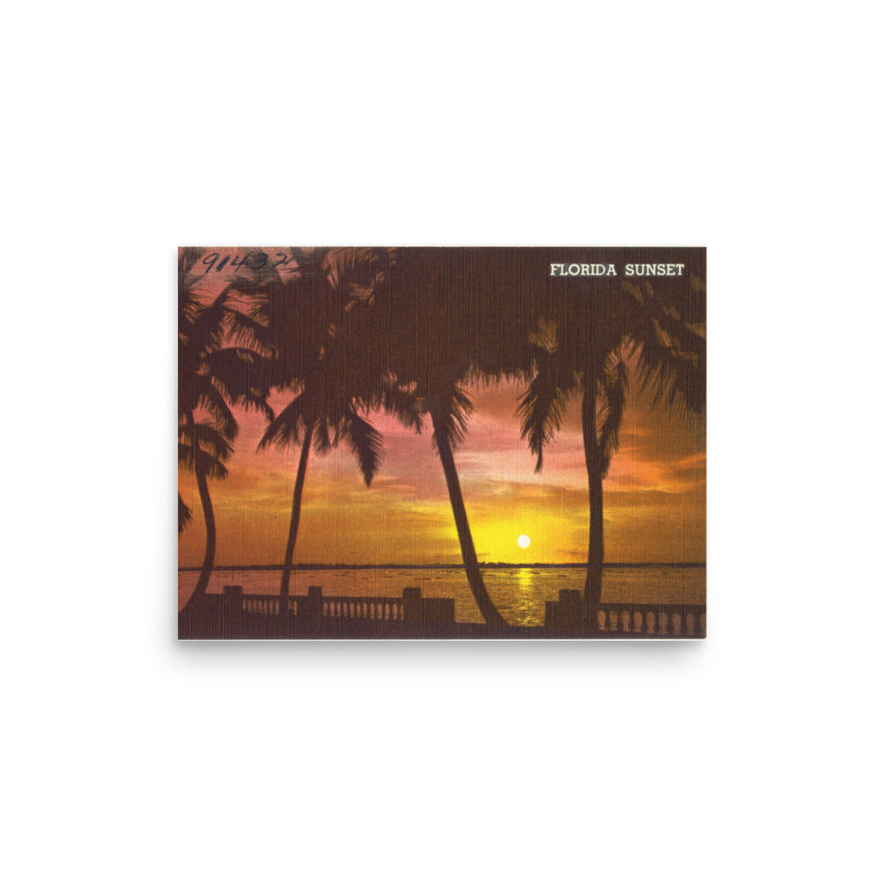 Sunset Palms, 16 x 12, Unframed