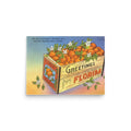 The Box of Oranges I Promised You, Unframed
