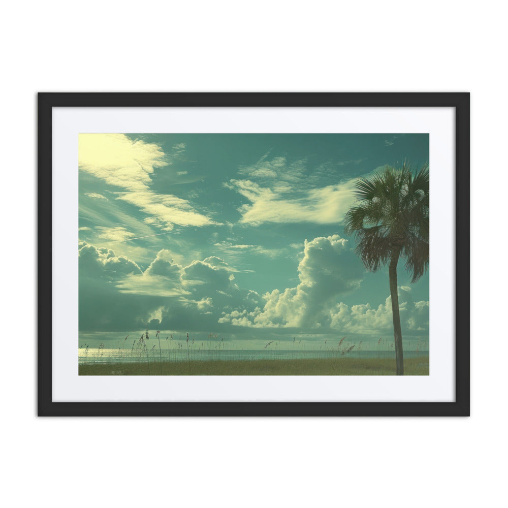 Clouded Palm, 24 x 18, Black with Mat