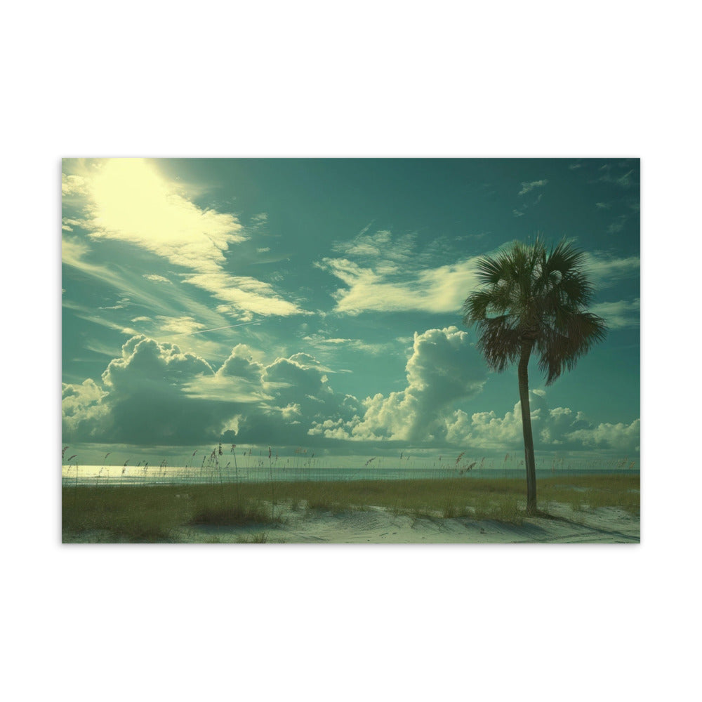 Archive Postcards, Clouded Palm