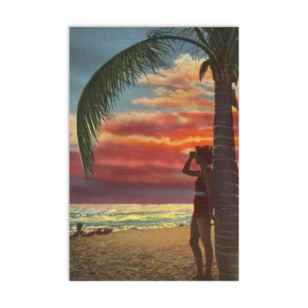 Archive Postcards, Lady Palm Sunset