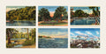 Postcard Set: Springs and Rivers, six Vintage Florida linen postcards