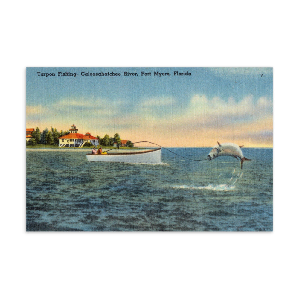 Archive Postcard, Tarpon Fishing, Caloosahatchee River