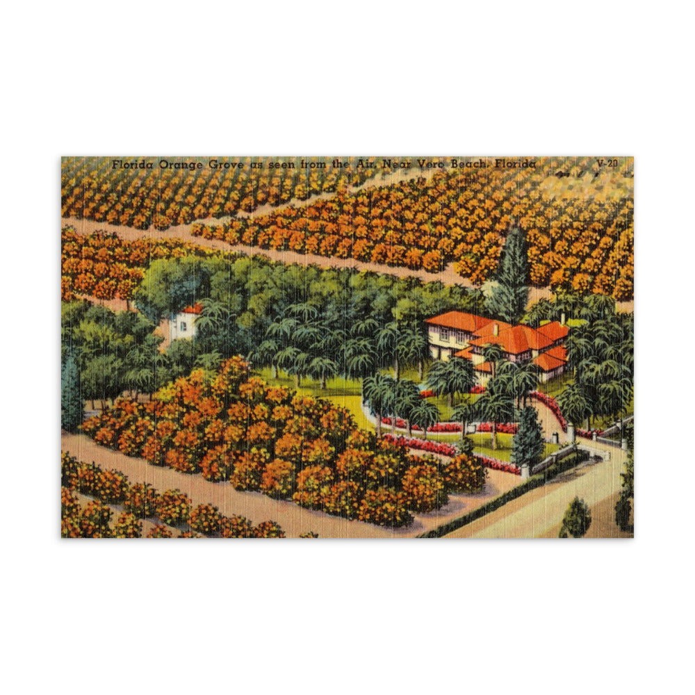Archive Postcard, Orange Grove from the Air, Vero Beach