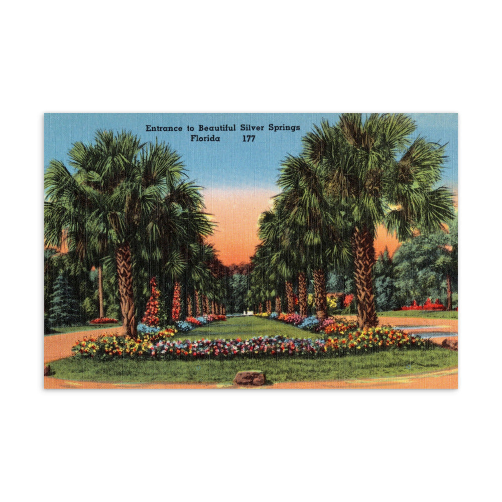 Archive Postcard, Entrance to Silver Springs