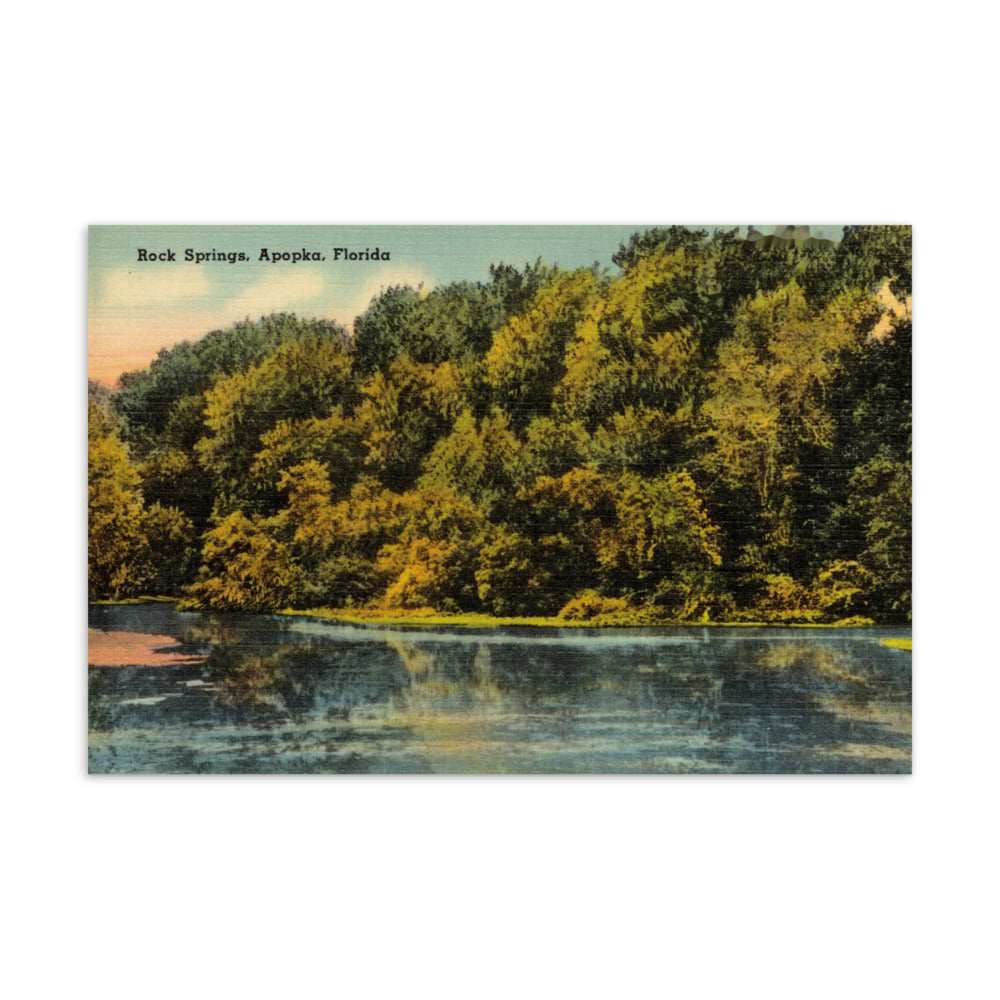 Archive Postcard, Rock Springs, Apopka