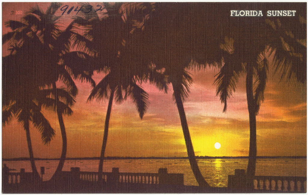 Vintage Florida linen postcard captioned Florida Sunset: palms leaning over a seawall balustrade at dusk