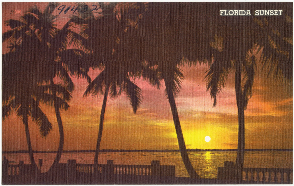 Vintage Florida linen postcard captioned Florida Sunset: palms leaning over a seawall balustrade at dusk