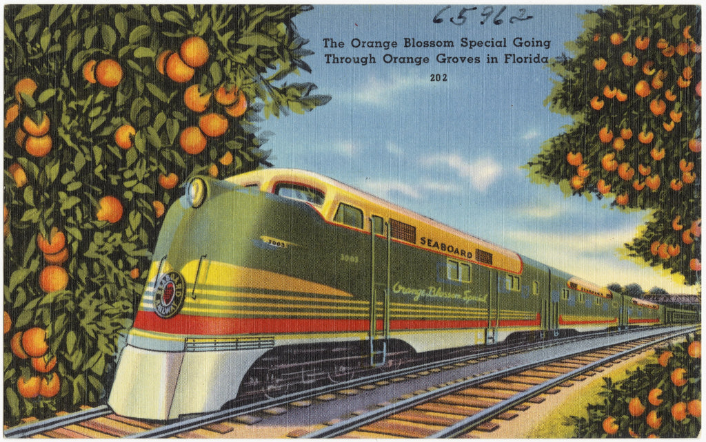 Linen postcard: the Orange Blossom Special going through orange groves in Florida