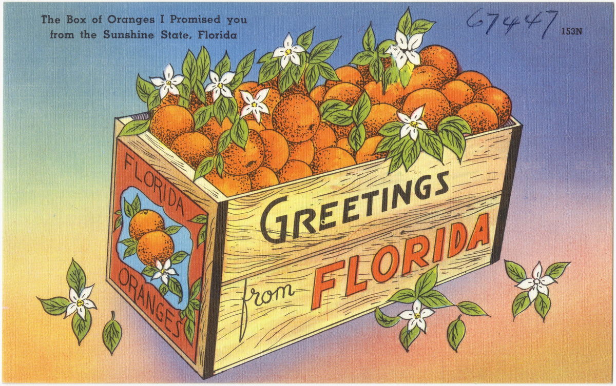 Linen postcard: a Greetings from Florida orange crate, The Box of Oranges I Promised You